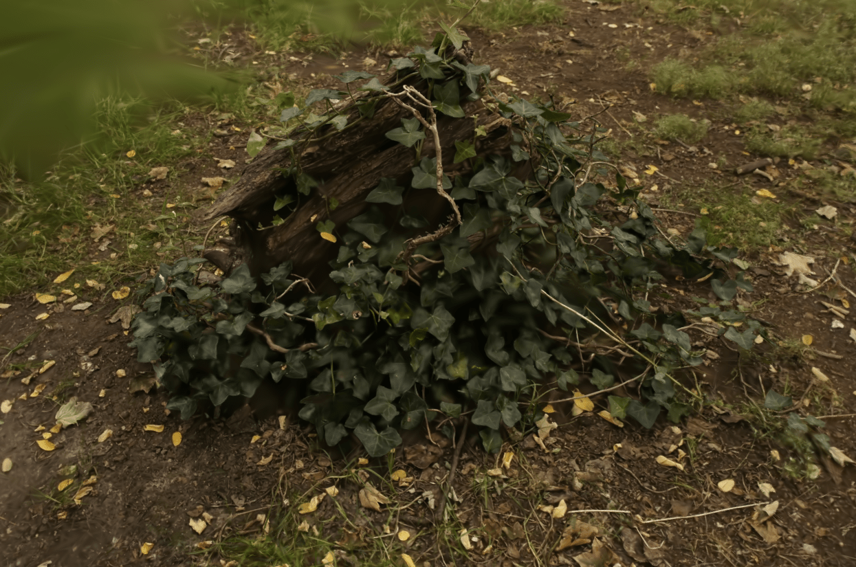 Example 2 Before