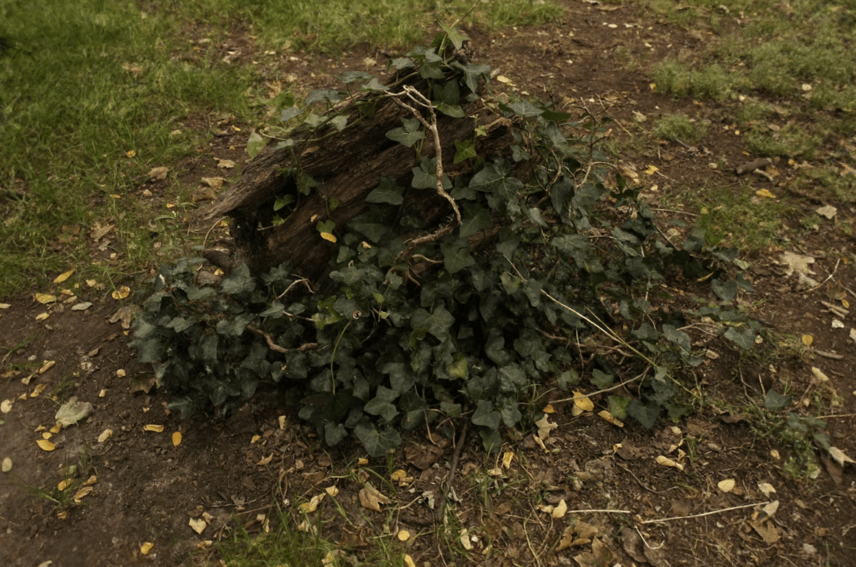 Example 2 After